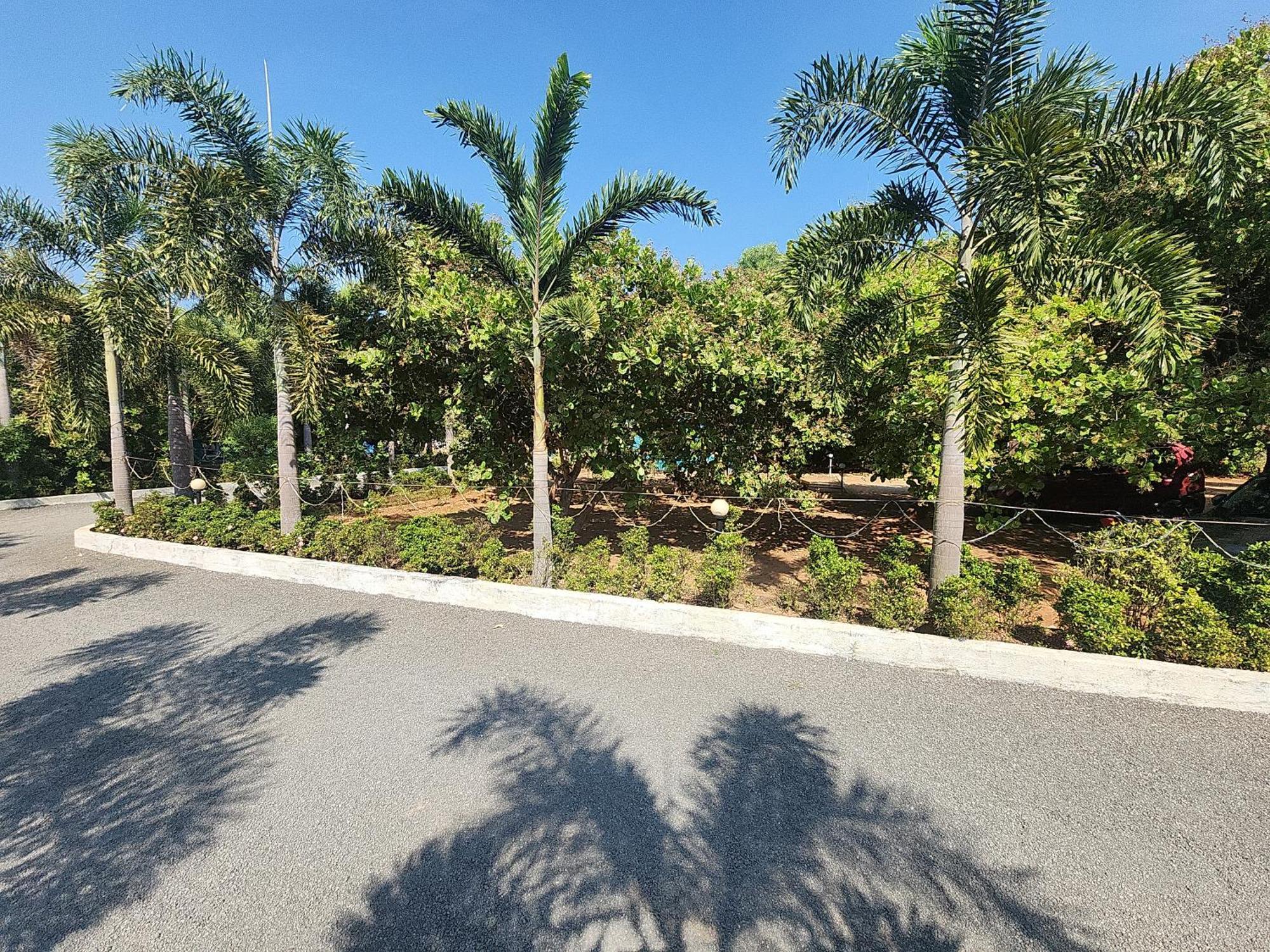 Paradise Forest Resort Ποντισερί Εξωτερικό φωτογραφία